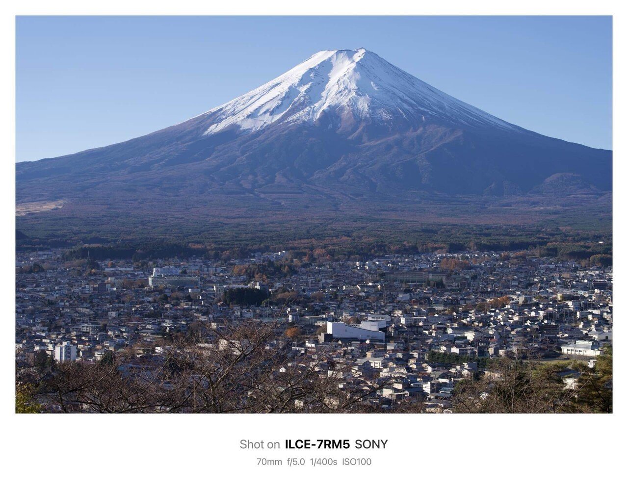 日展 山崎啓次作1.8尺横池畔新緑 昭和12年生 大阪 縦165cm 幅67 新倉山浅間公園 / Arakurayama Sengen Park【2024】(Yamanashi