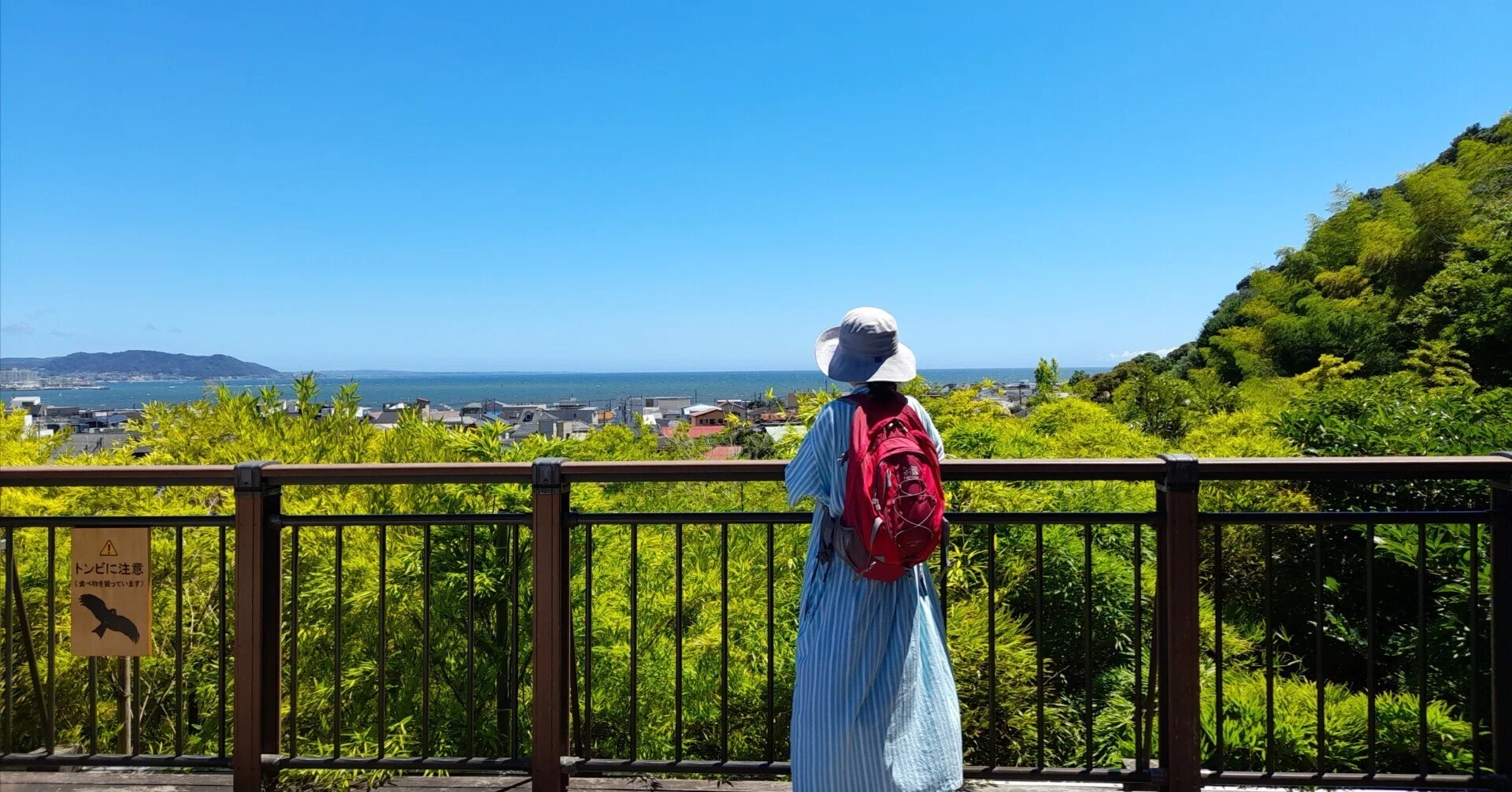 夏の思い出】鎌倉へ旅する｜山口もも