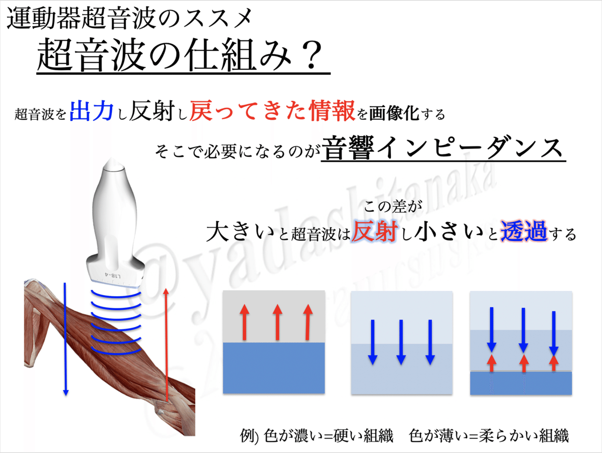 スクリーンショット 2020-03-07 9.32.32