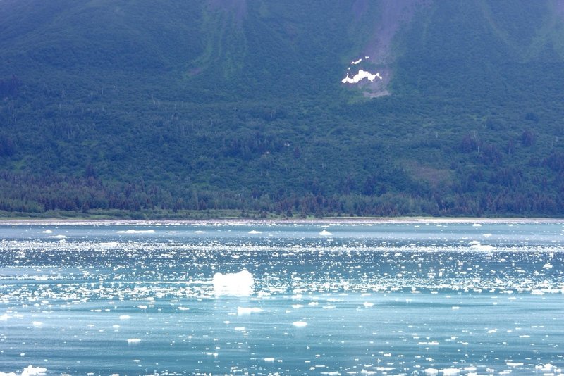 アラスカクルーズ ハバード氷河 Zenpaku Note アラスカクルーズ ハバード氷河 Zenpaku Note