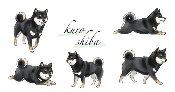 柴太郎 ちょっと油断していたら、また柴犬がスバルのCMに出ていた話