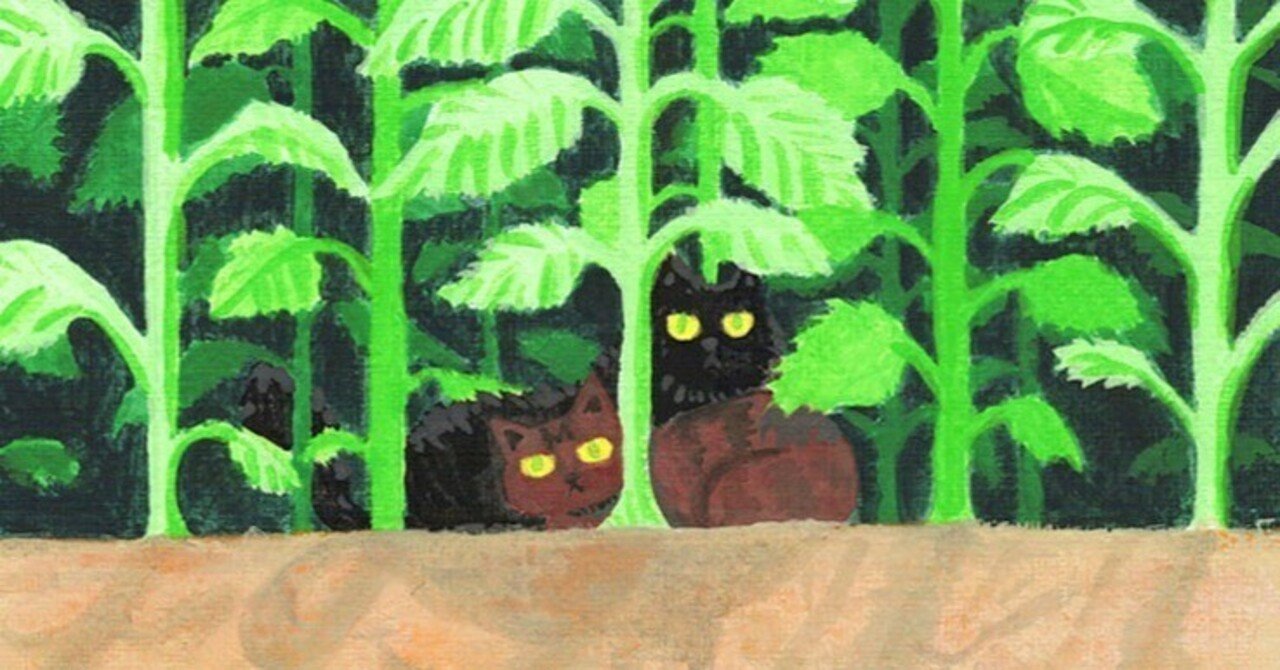 我が家の猫の話（キジトラと黒猫）｜くろしまはる