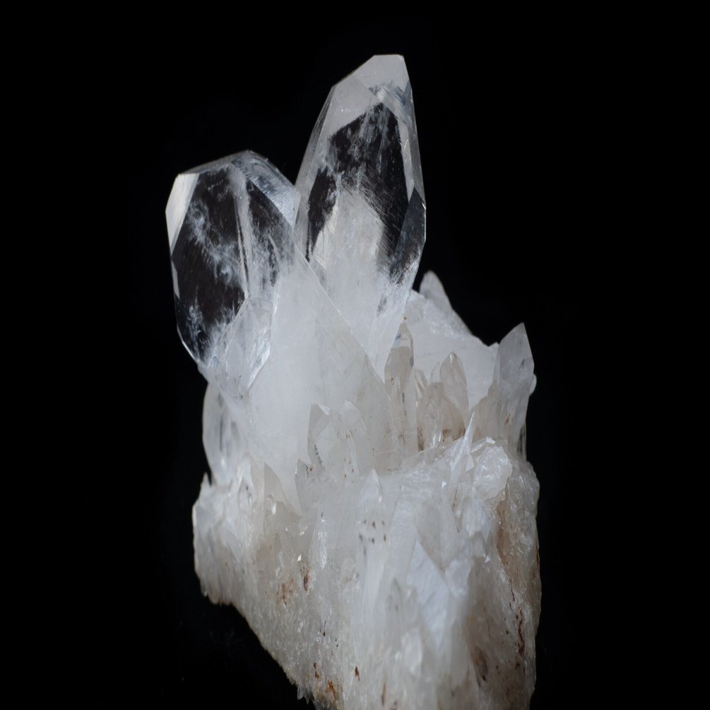 世界にひとつ、心にふたつ──マダガスカルの双晶との出会い｜SELSHA