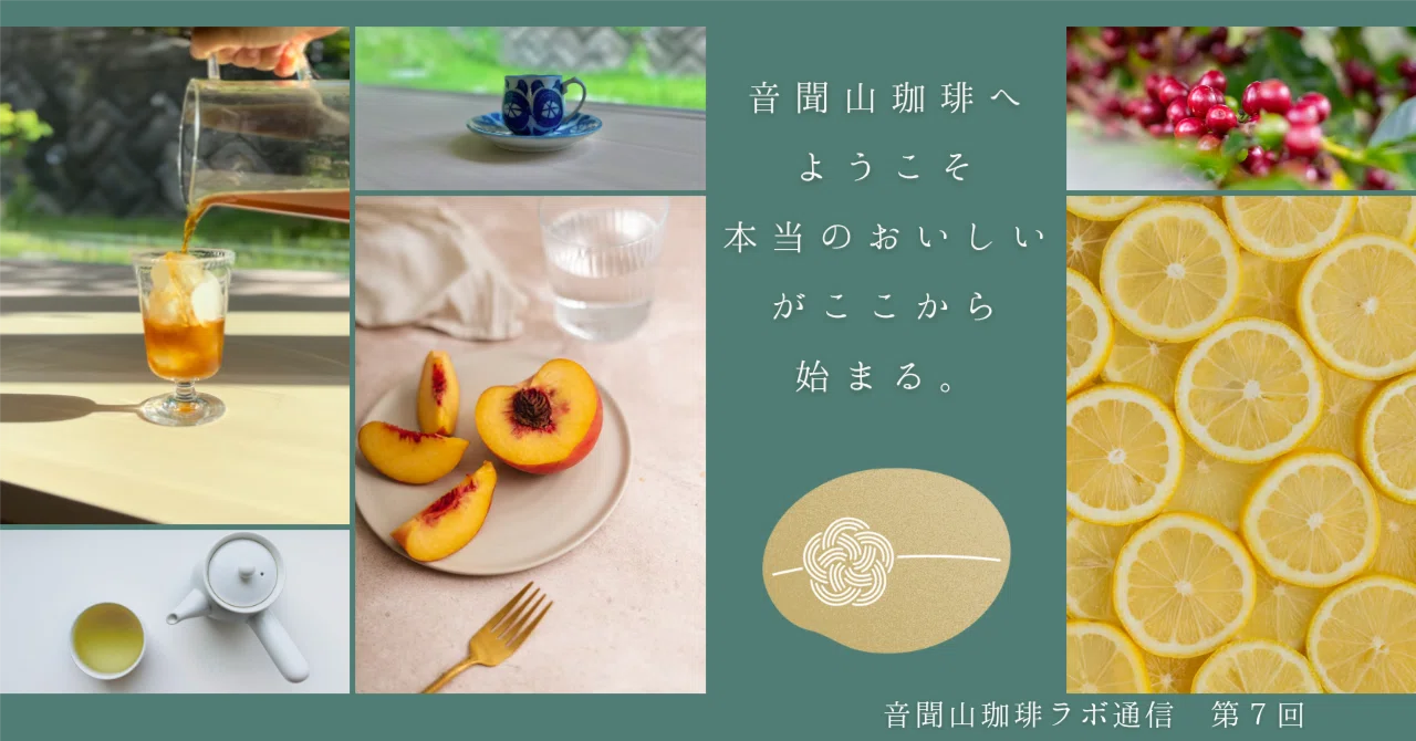 桃のかおり ☕️コーヒーに感じる“桃の香り”の正体は何か──酸味と香りを科学で