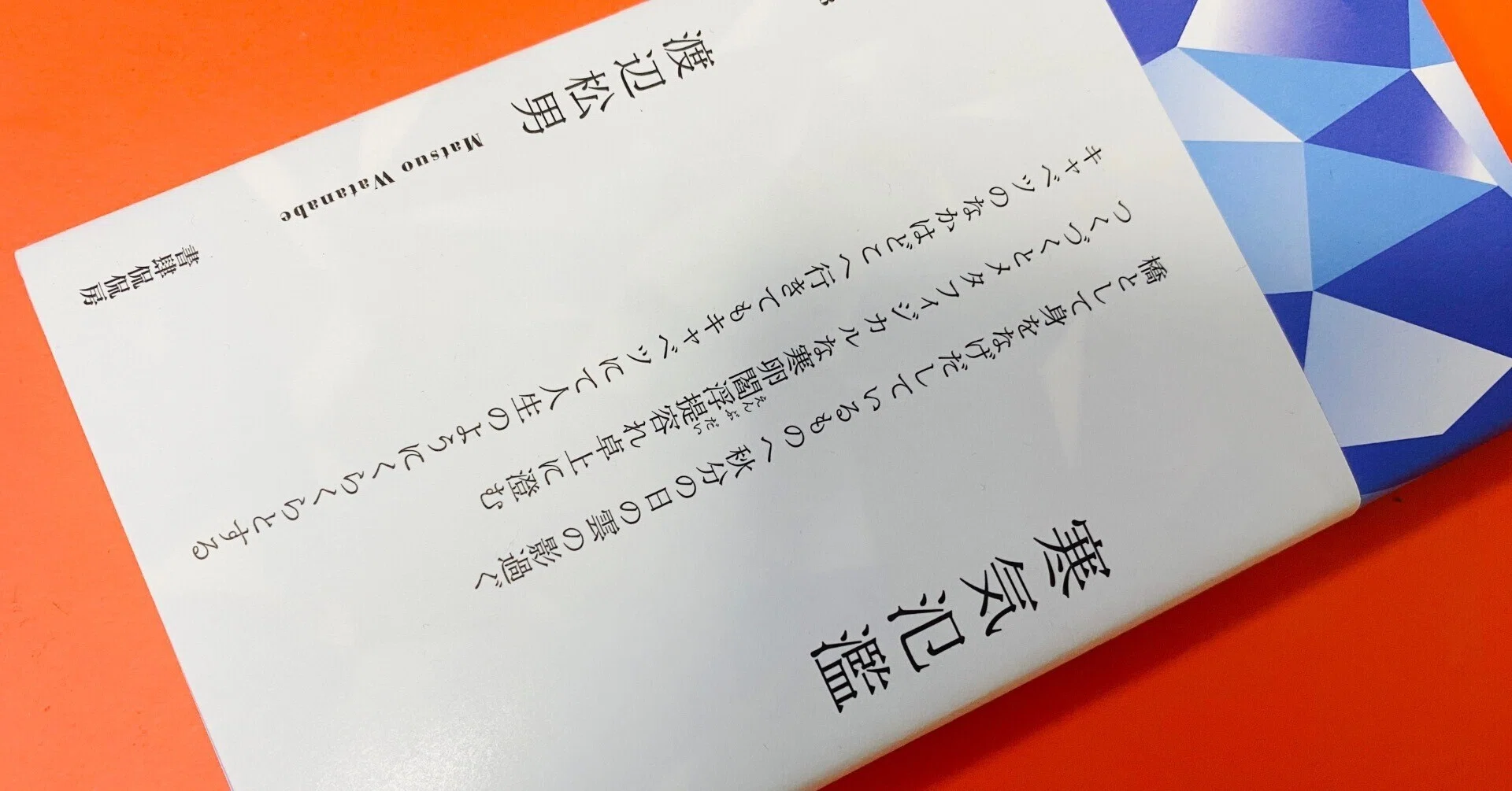 短歌】東直子『短歌の詰め合わせ』を読んで好き！ ってなった渡辺松男 