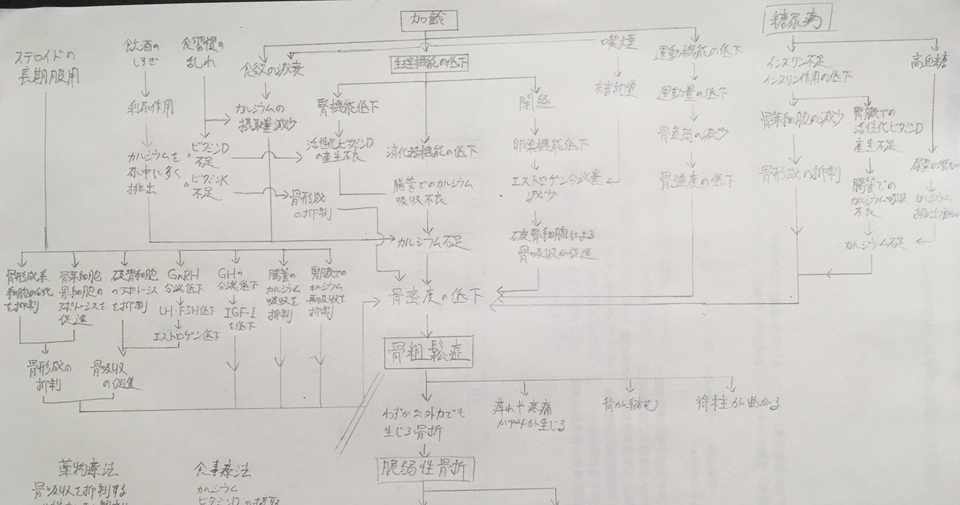 看護過程 関連図が書けるようになる方法 苦手な関連図対策 鳩ぽっぽ Note