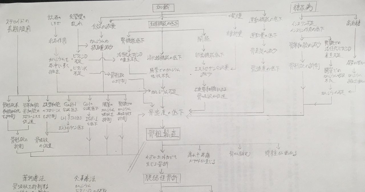 看護過程】関連図が書けるようになる方法〜苦手な関連図対策〜｜鳩ぽっぽ