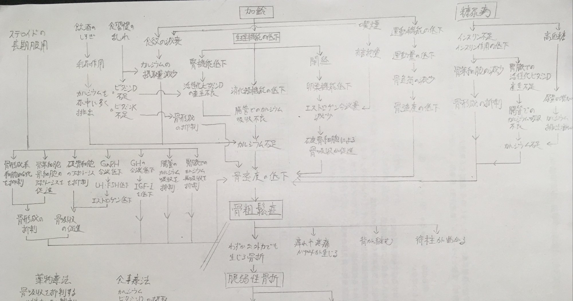 看護過程】関連図が書けるようになる方法〜苦手な関連図対策〜｜鳩ぽっぽ