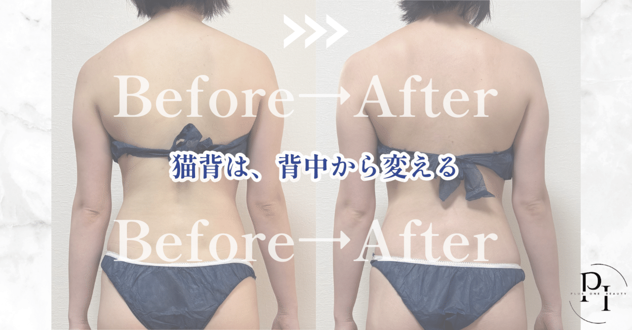 田中裕樹～究極の美姿勢メソッド～バストアップ、くびれ、猫背矯正、O脚矯正 田中裕樹～究極の美姿勢メソッド～バストアップ、くびれ、猫背