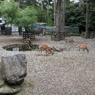 蟹球リク（かにたま）