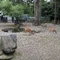 蟹球リク(かにたま)