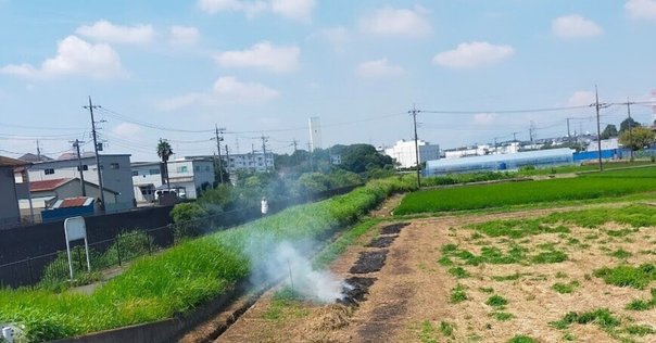 定本　森岡貞香歌集 森岡貞香歌集 / 森岡 貞香【著】 - 紀伊國屋書店ウェブストア