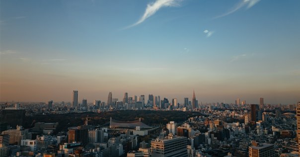 皇国二十四功 大久保彦左衛門忠教｜月岡芳年コレクター