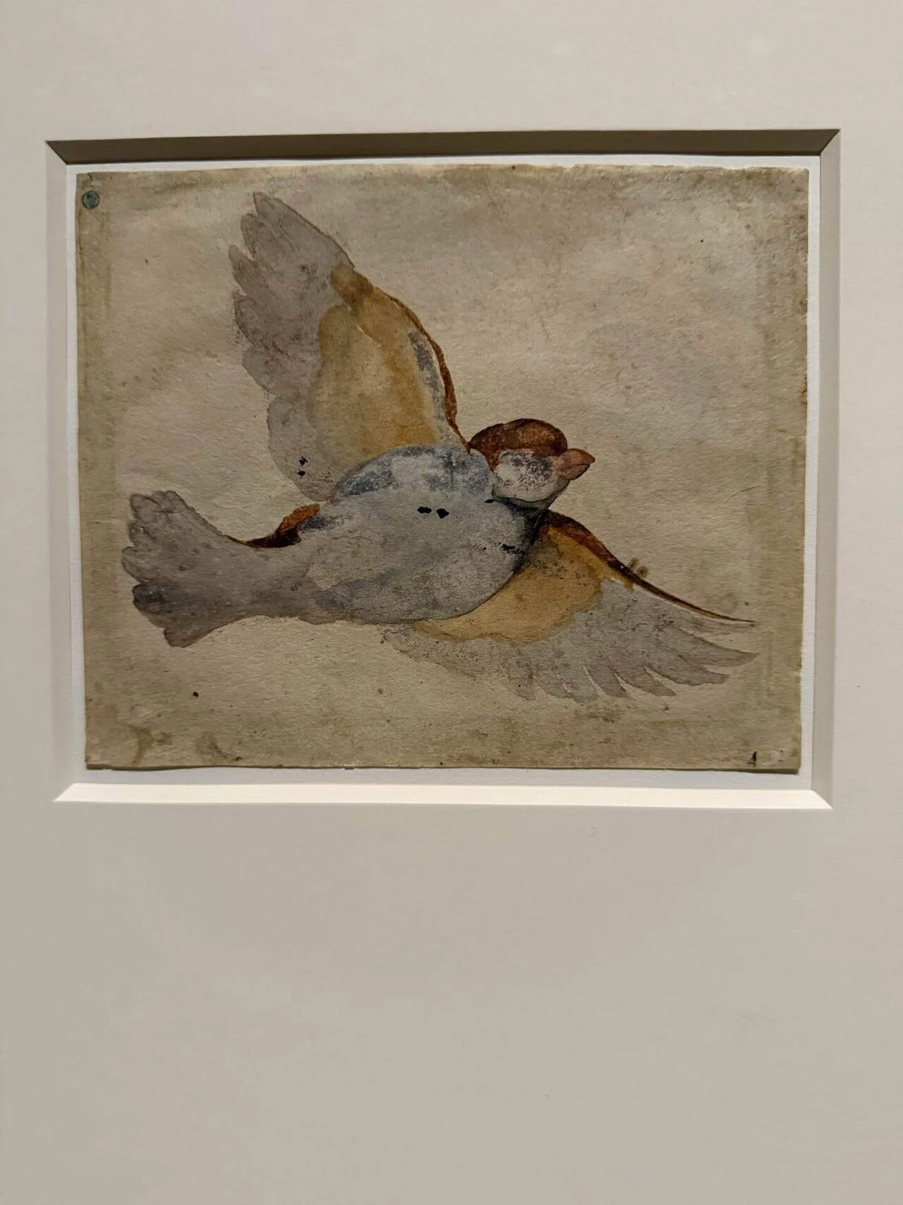 ジェラール・シュネデール、作品 19C、希少画集画、新品高級額 アートめぐり スウェーデン国立美術館 素描コレクション展―ルネサンス