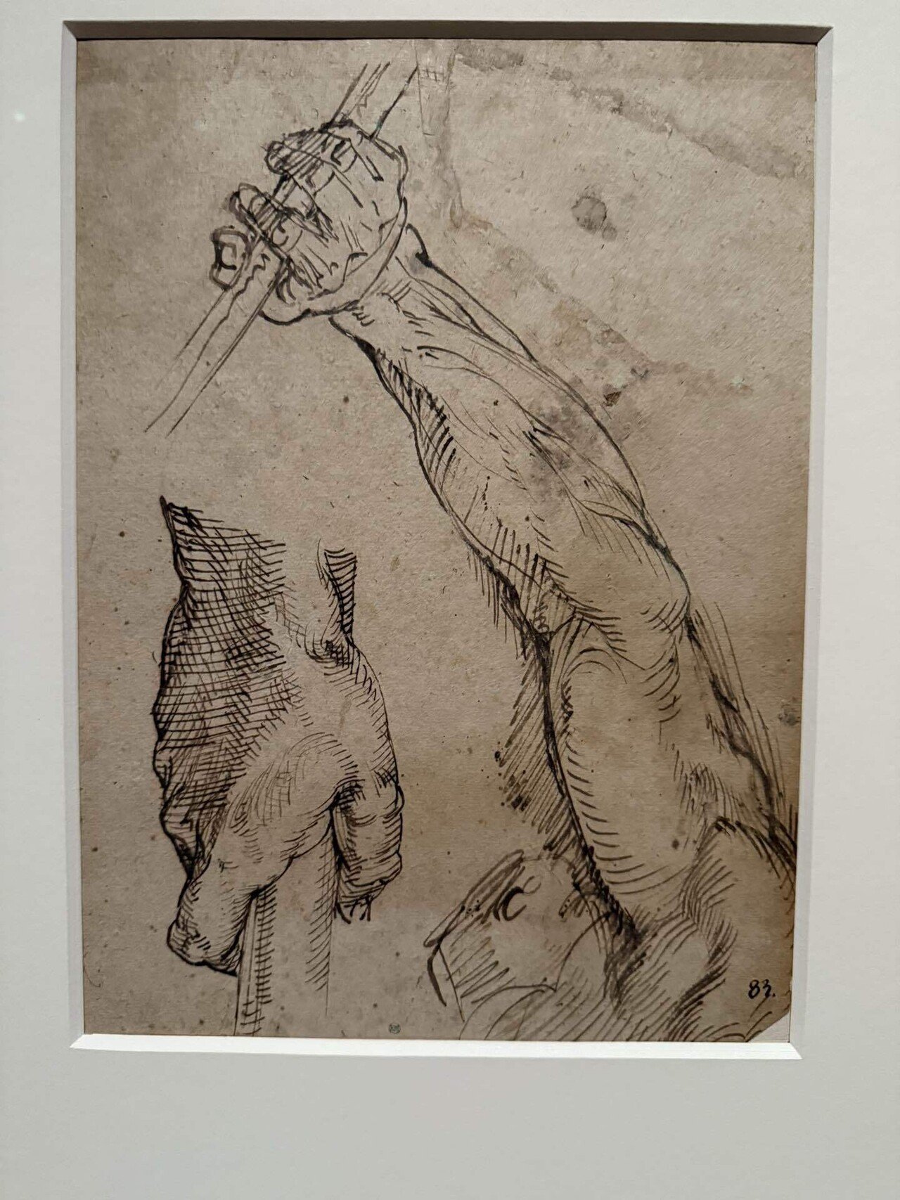 アートめぐり スウェーデン国立美術館 素描コレクション展―ルネサンス