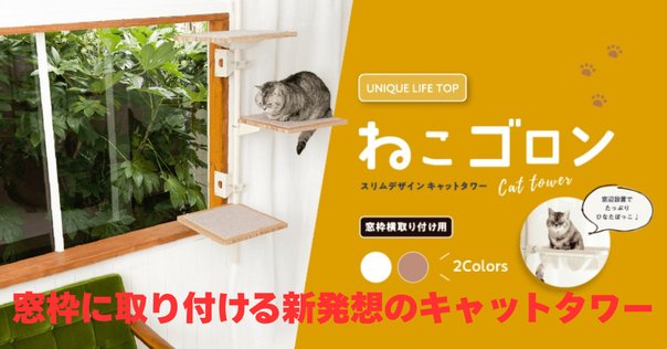 インテリアとしてもインパクト抜群！三日月型のかわいすぎる猫
