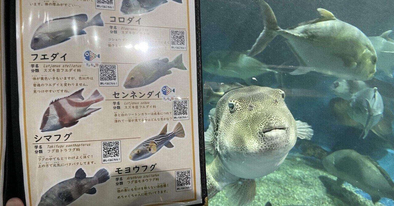 【絶版本、美品】日本の造礁サンゴ類　図鑑　ダイビング　沖縄　底生生物 沖縄で一番綺麗な珊瑚礁の群生 | ワールドダイビング