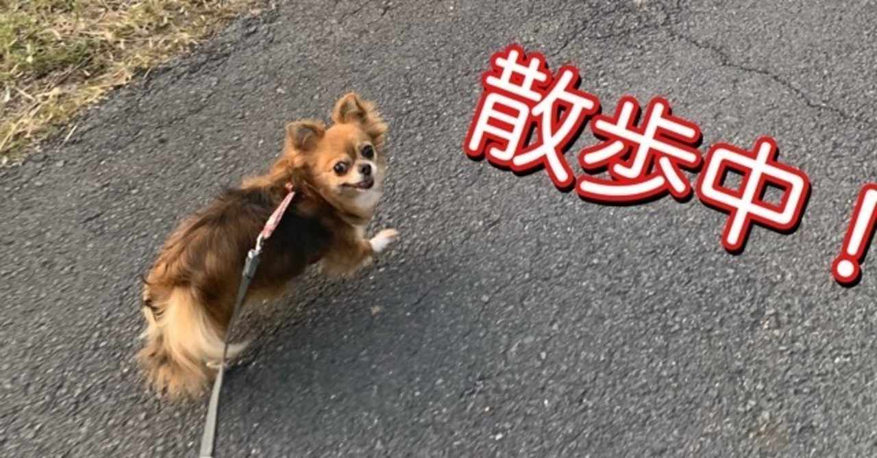 ルーティン 犬祭運営マン Note