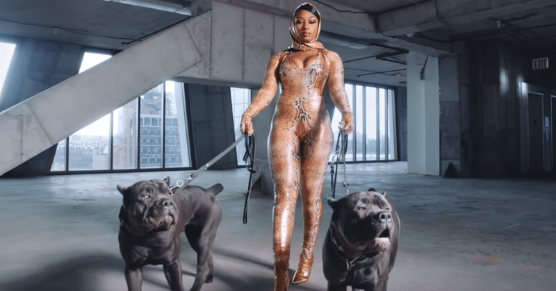 「私はB-I-T-C-Hでありたい」、Megan Thee Stallionによる2PACの曲のリメイクを読む。 (Megan Thee Stallion - "B.I.T.C.H.")