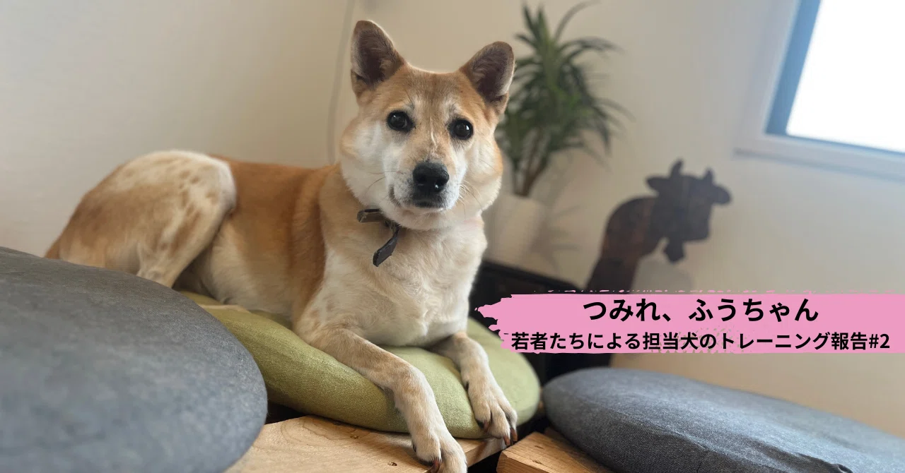 つみれ、ふうちゃん：若者たちによる担当犬のトレーニング報告#2｜認定