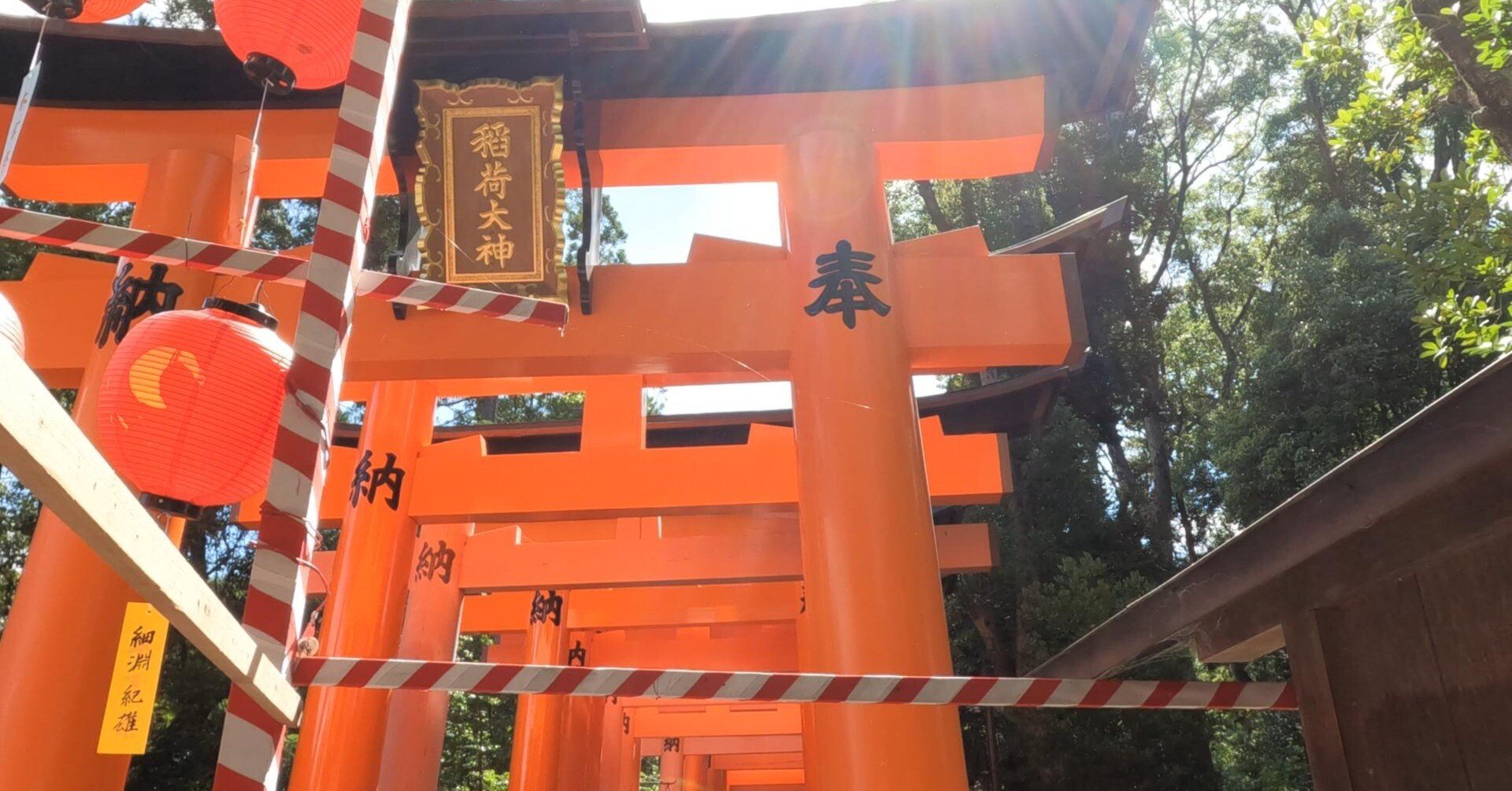 稲荷信仰の真実──狐と炎、そして日本人の祈りのかたち｜和の記憶#15