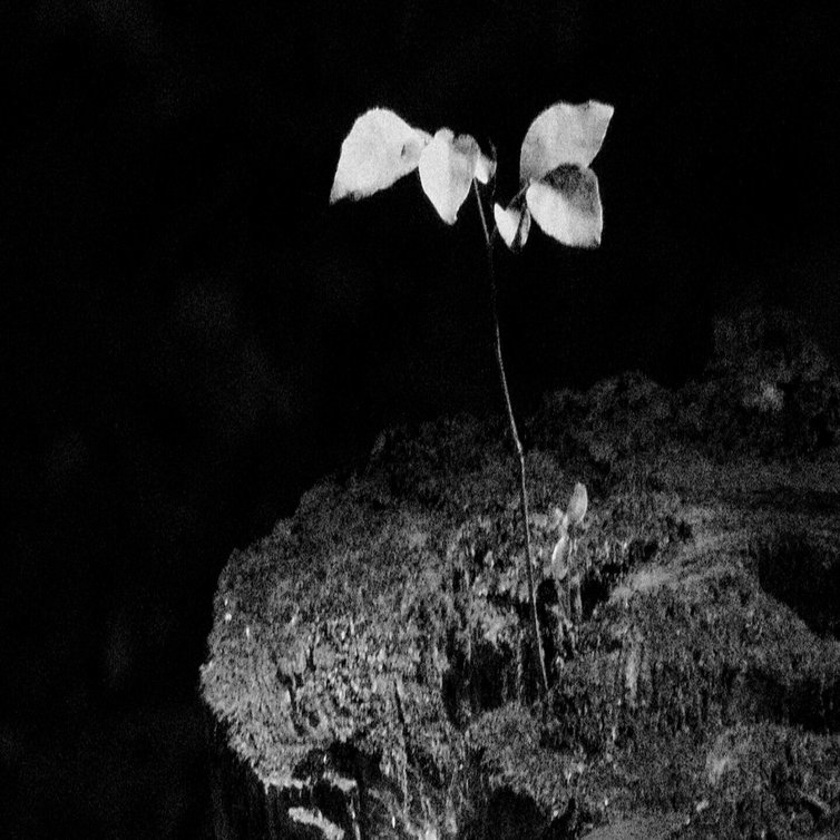 コニカミノルタのDiMAGE Z5のモノクロがなかなか良い。｜竹村稔の写真