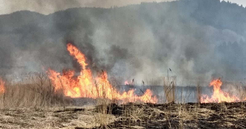 山火事ではないのです。2020/03/07由布岳