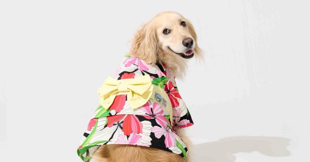 犬服ハンドメイド　miyuno no. 1332 ハンドメイド 犬服