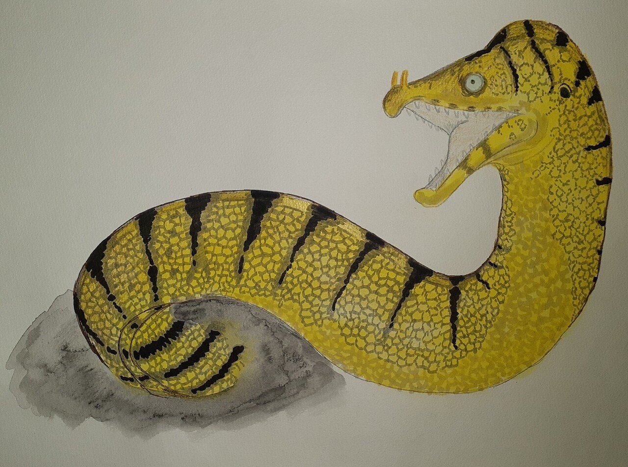 イラスト】ウツボ｜TechpanCreate（テクパン・クリエイト）