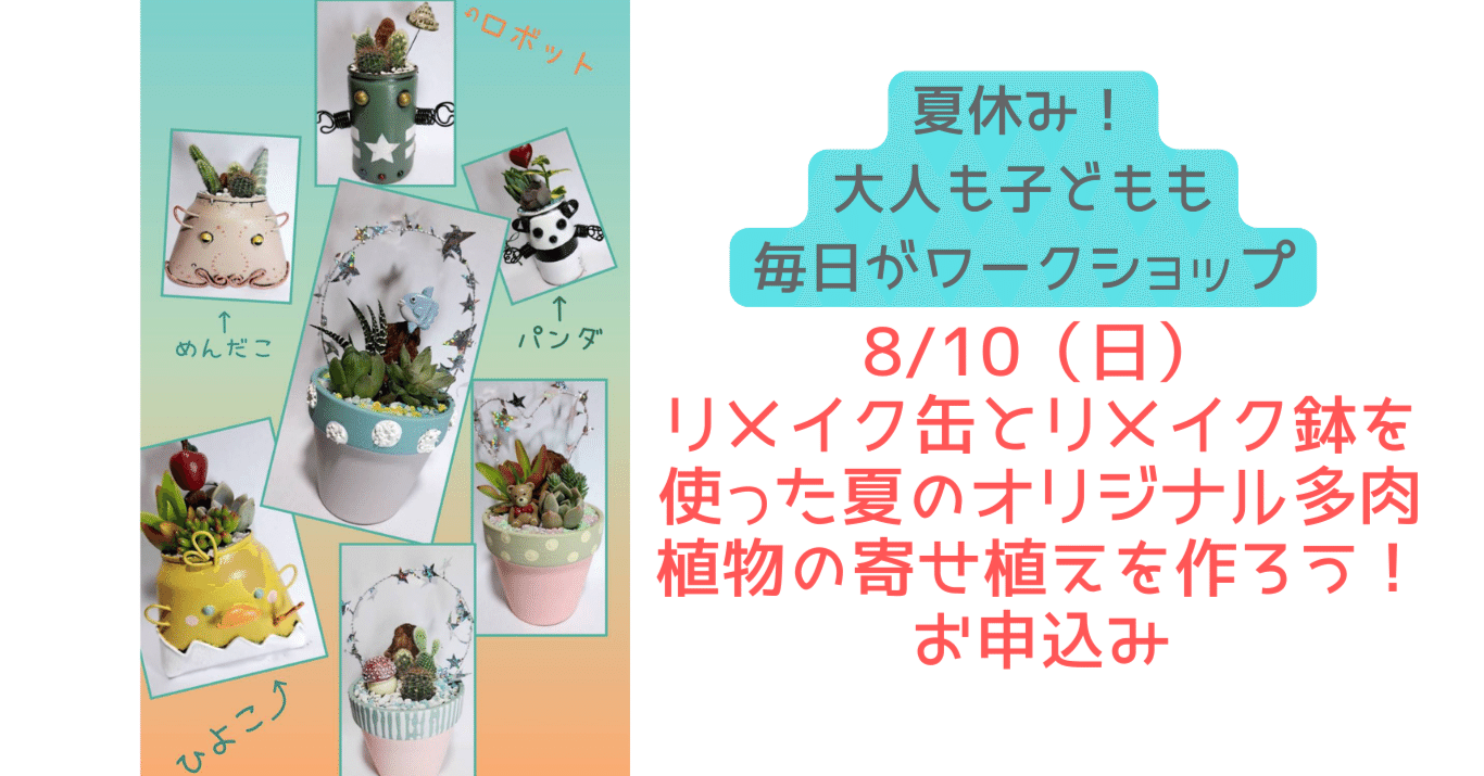 8/10㊐ /多肉寄せ植え/夏休み大人も子どもも毎日がワークショップ｜夢