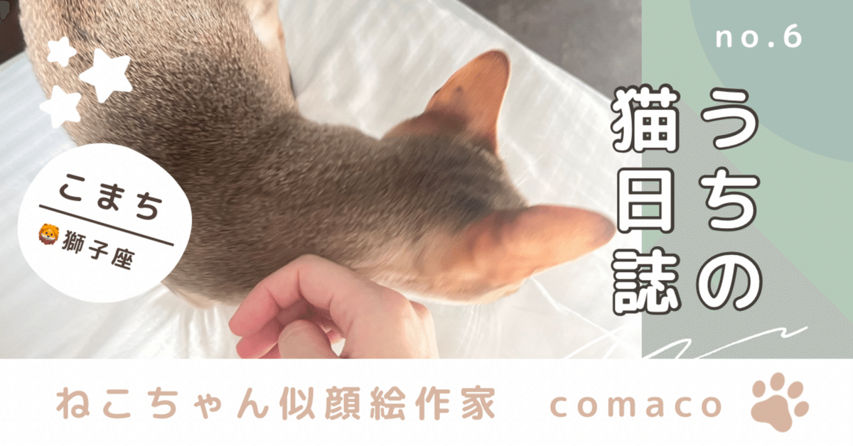 🐈猫日誌no.6 ｛新しいおもちゃ｝｜comaco | ねこちゃん似顔絵作家
