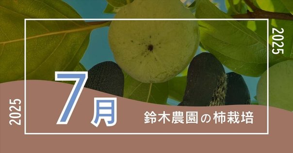 桃の生育レポート＃2024年7月｜クニミノマド オーナー制度
