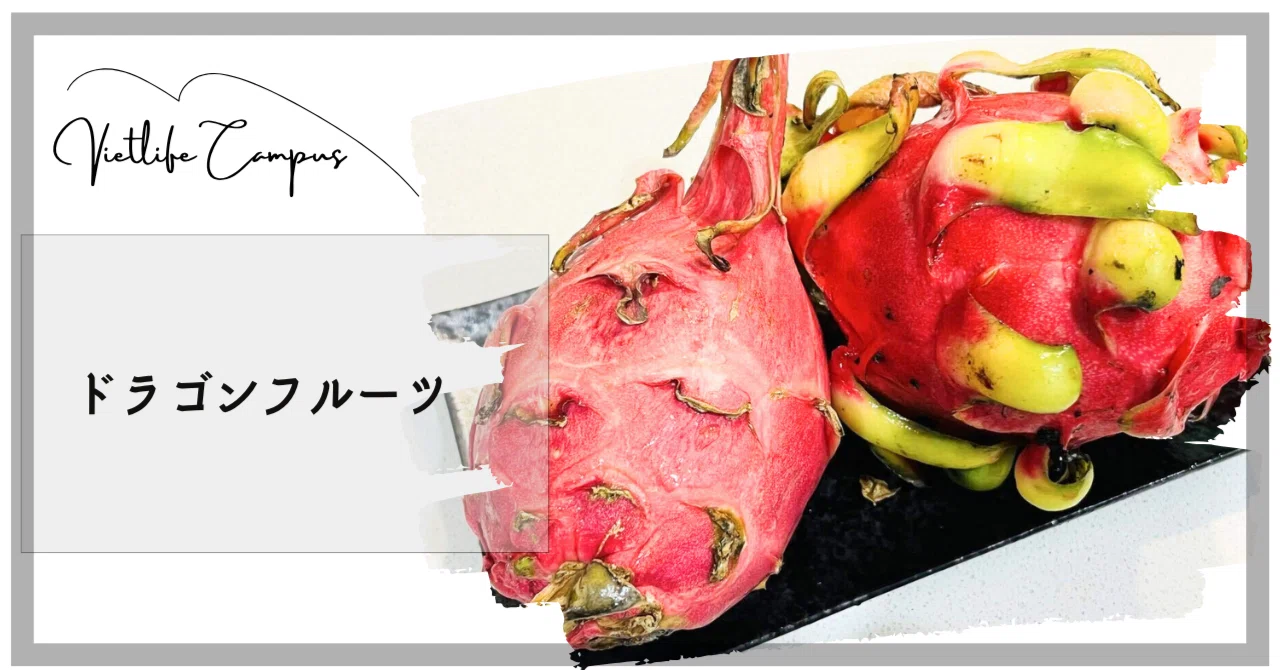 南国フルーツ】色も味も違う？2種のドラゴンフルーツを比べてみた