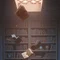 爆裂麦茶 / 地下書庫の住人