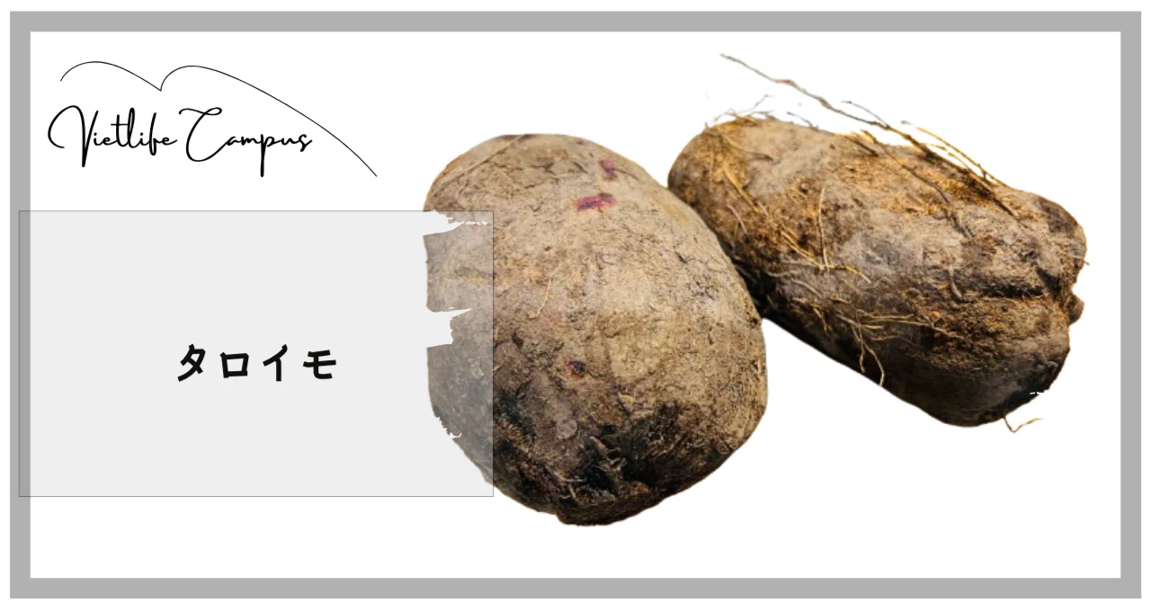 紫色のタロイモってどんな味？まずは下ごしらえから｜ベトライフキャンパス