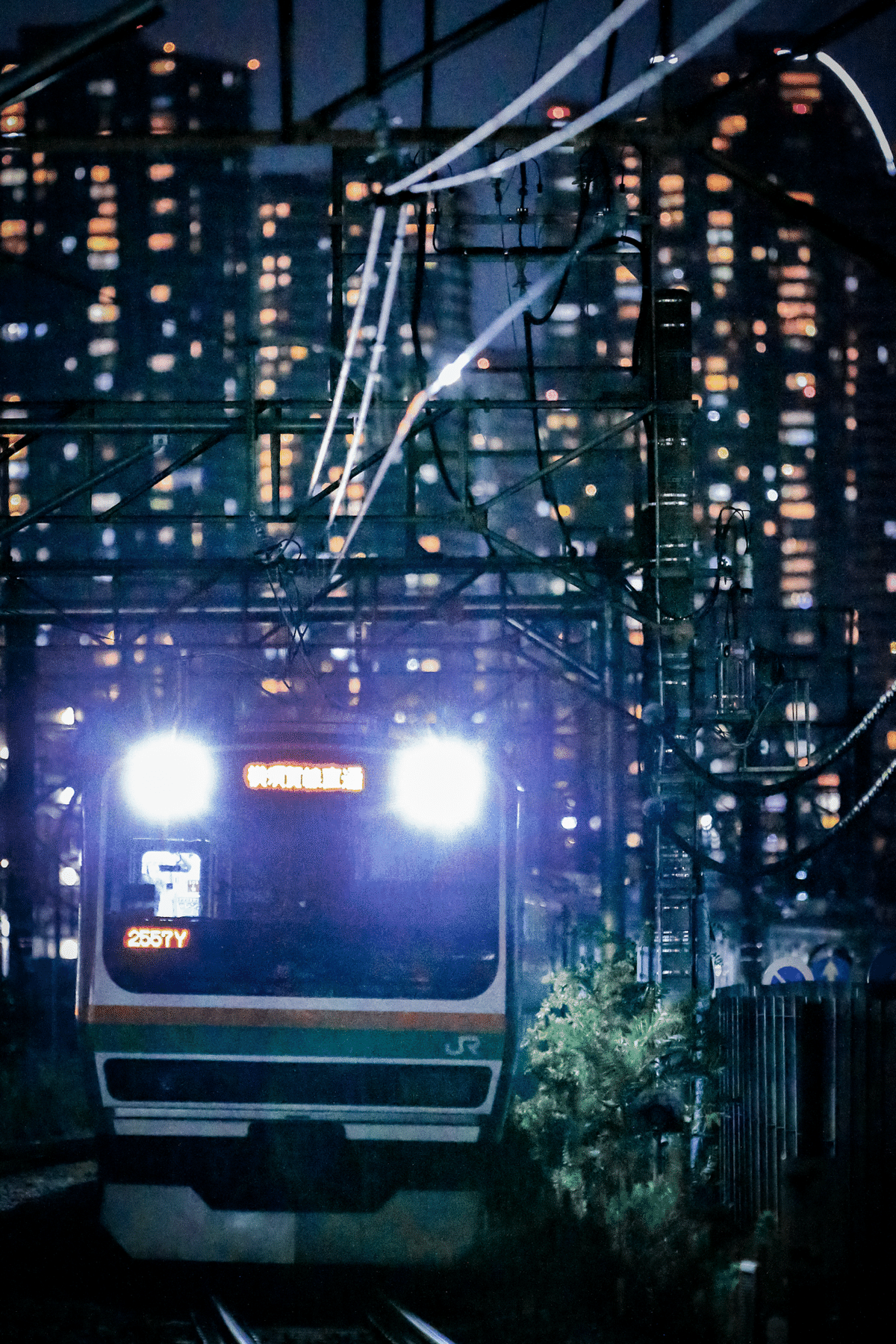 単玉の日｜夢路