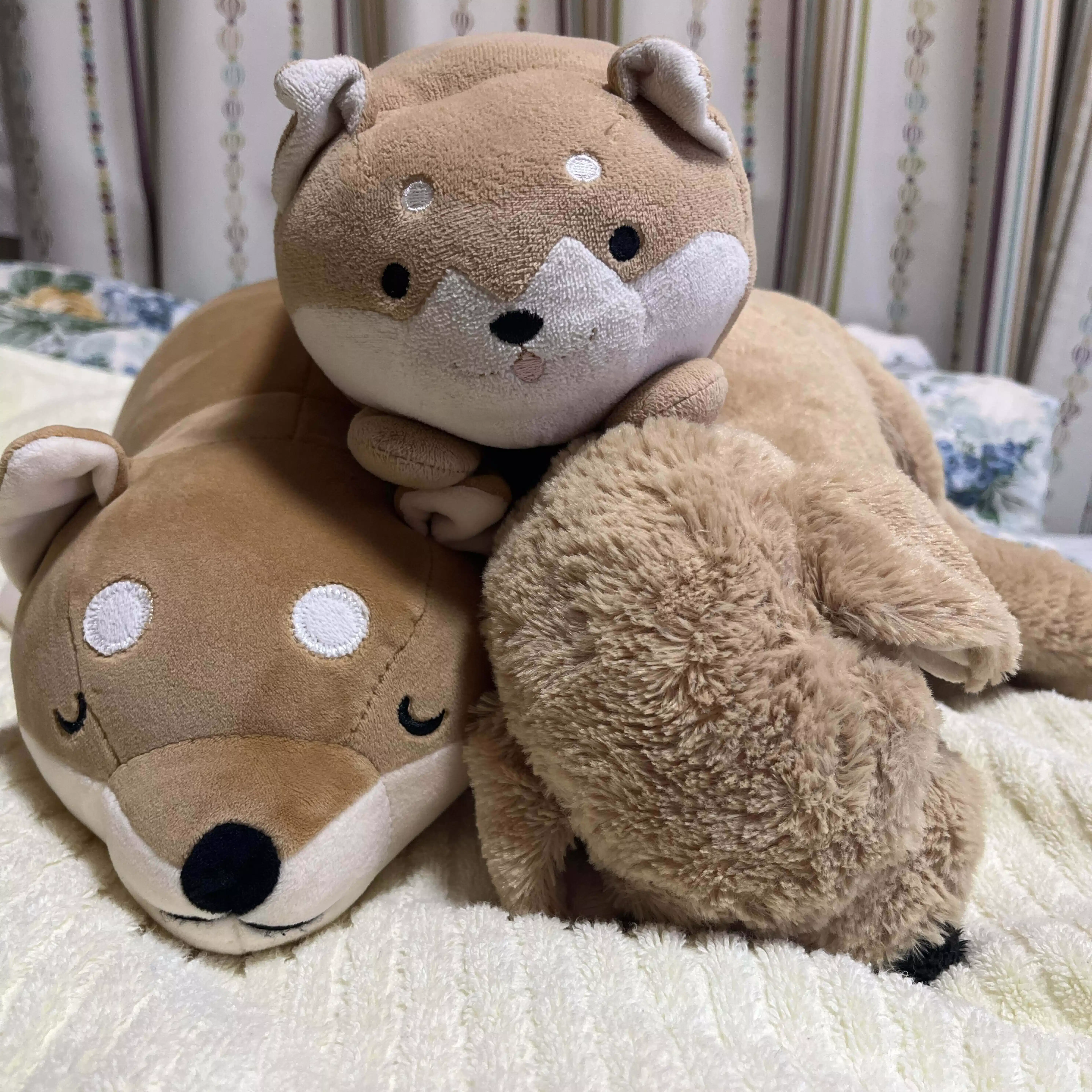たま