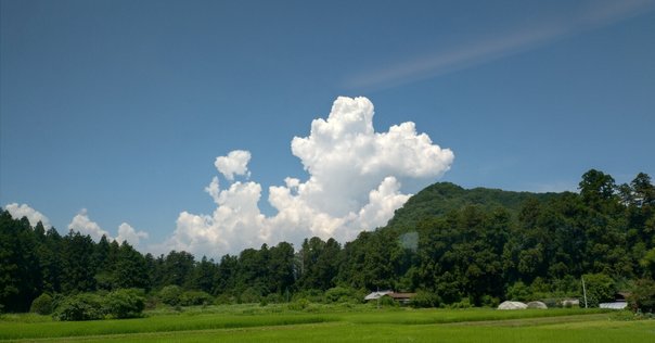 夏の雲 夏の雲｜もりぞー