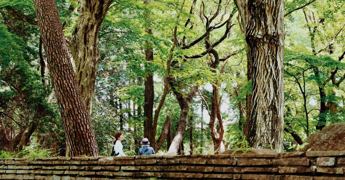 木と森のいのち—古代の森、森の生きもの、木と木からできるもの (知識の泉—Natural history (5)) 木と森のいのち—古代の森、森の生きもの、木と木からできる