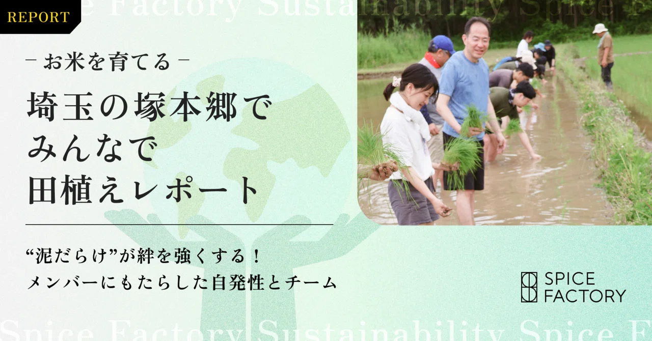 【お米を育てる】埼玉の塚本郷でみんなで田植えレポート｜スパイスファクトリー株式会社