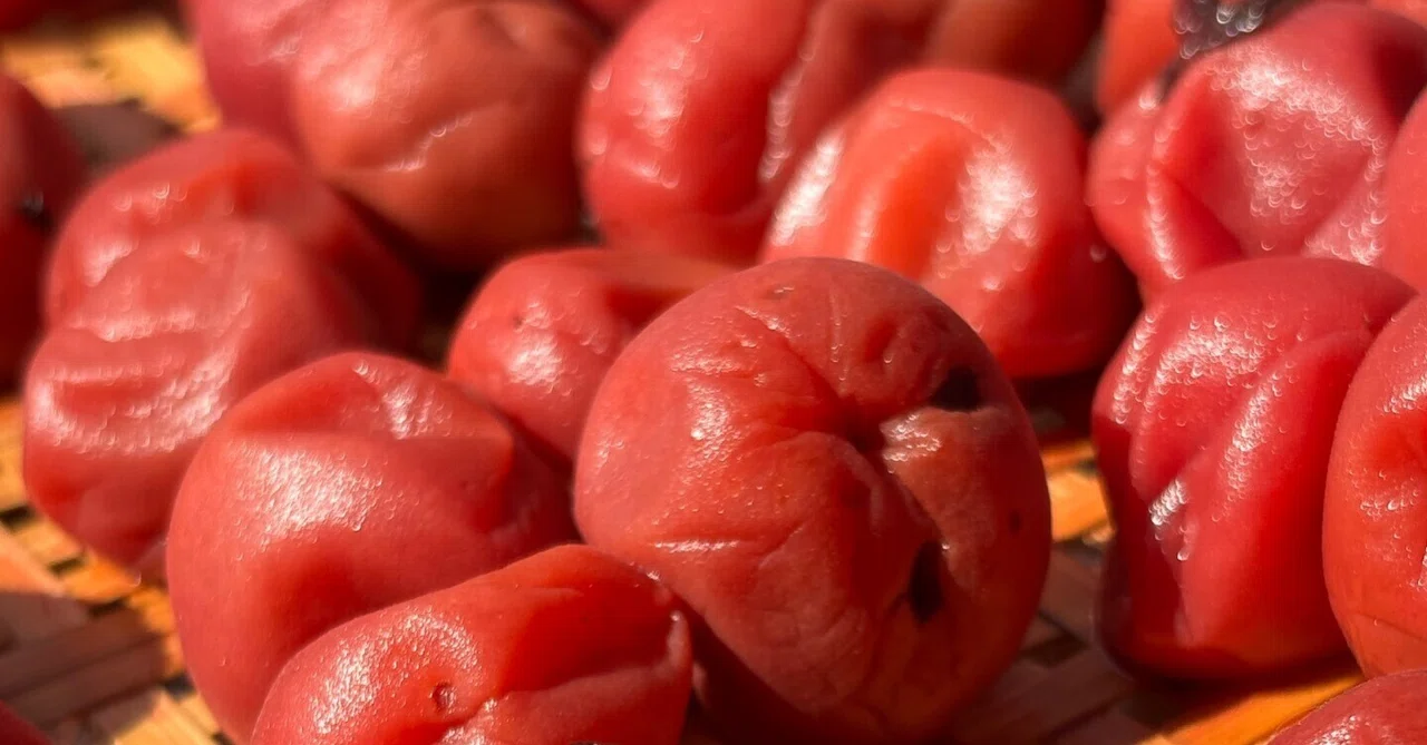 Store-bought pickled plums just aren't enough｜mami 〜心のままに〜