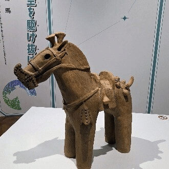 南白江藤新平実伝(全一巻) 南白江藤新平実伝(全一巻)