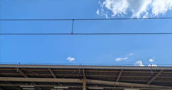 特撰記事③】私の中にも、「植松聖」が棲んでいる。｜乙武 洋匡