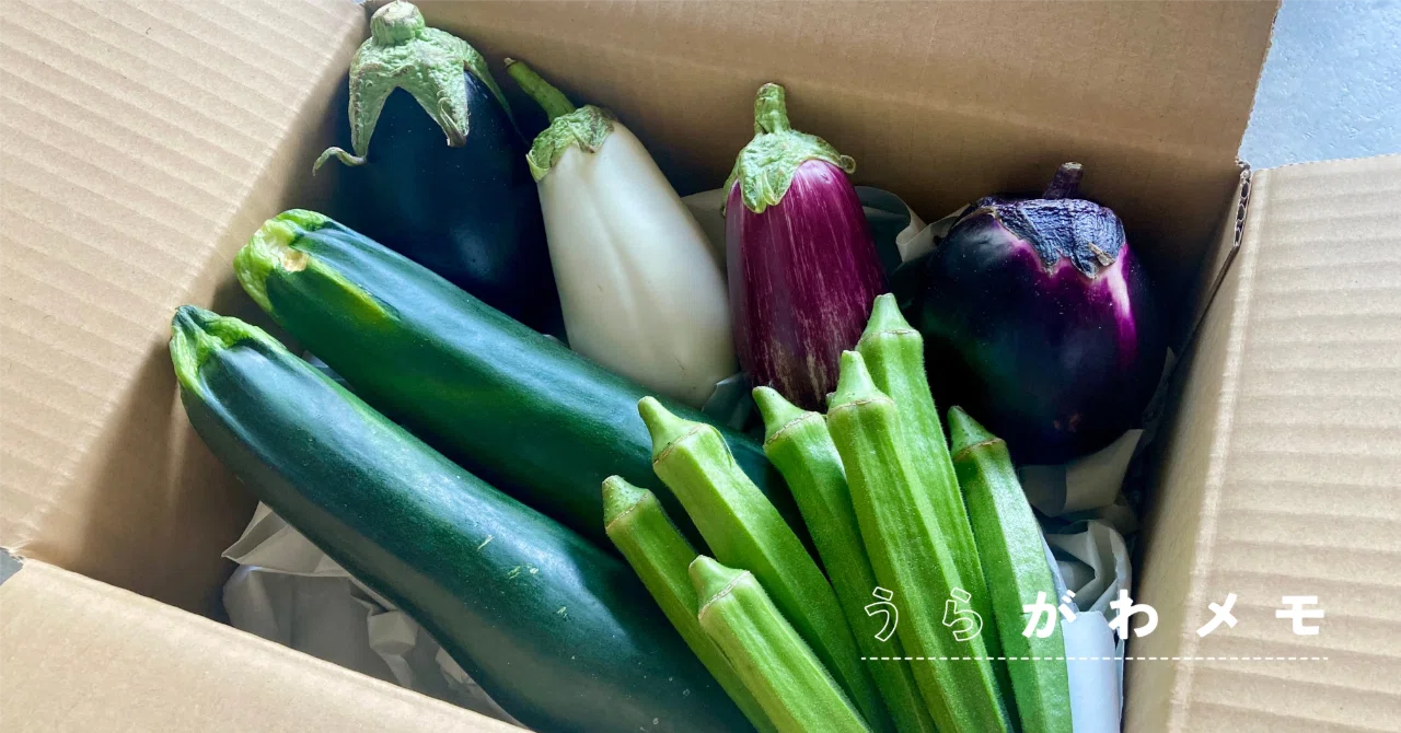 地球を救うやさいたち】育ちすぎて規格外になった夏野菜、届けた先で