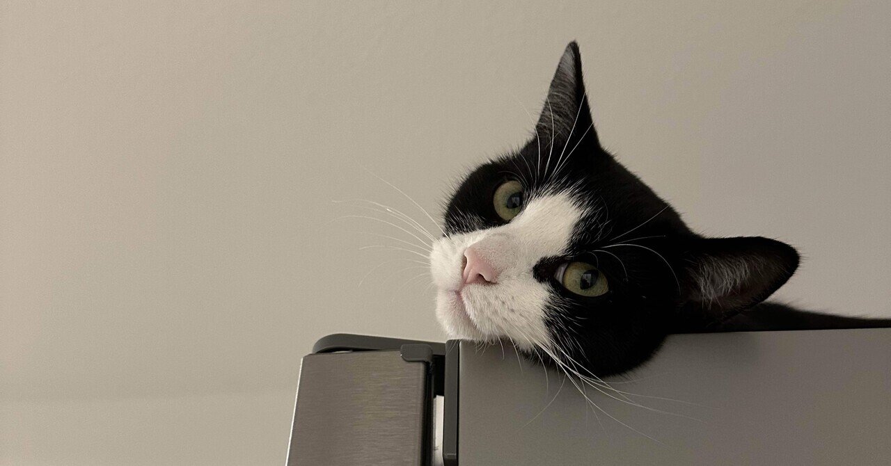 逃げ場がない猫の後ろ姿が完全にフレンドパーク！電子レンジに
