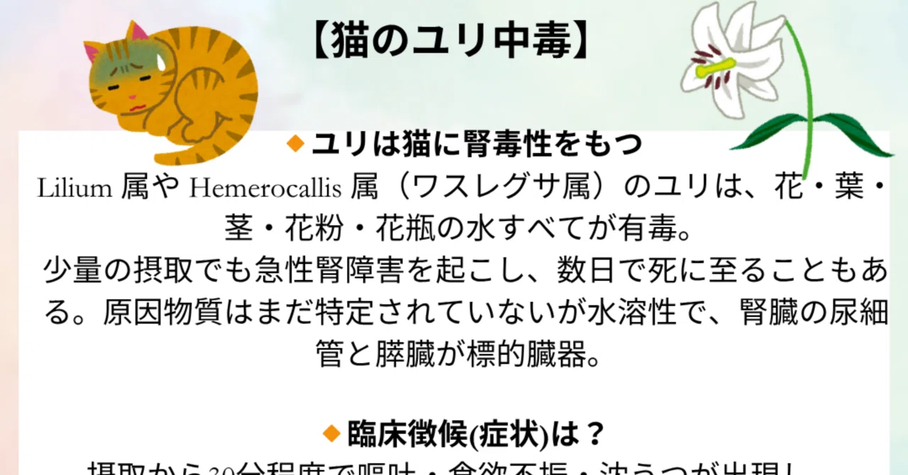 猫のユリ中毒】｜獣医師ふー：獣医中毒情報ポータル（JVPIP）