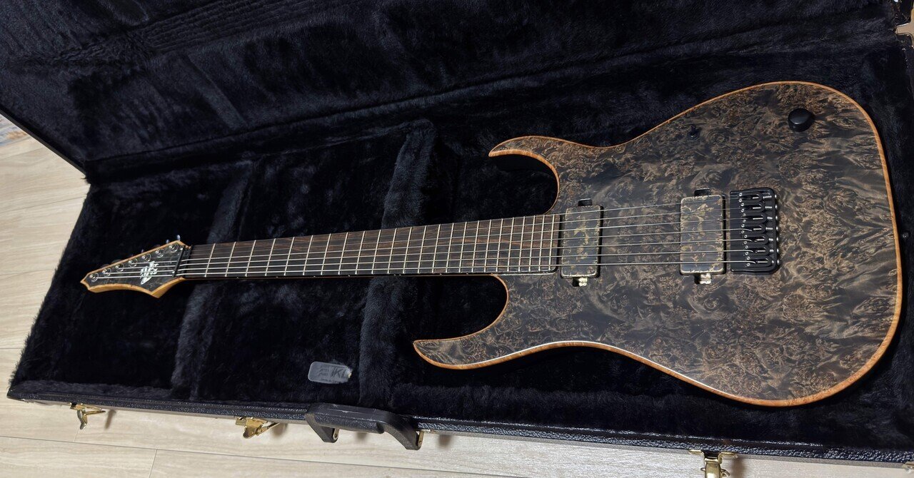 schecter c-5 custom ジャンク扱い　自作ピックガード 5弦 schecter c-5 custom ジャンク扱い 自作ピックガード 5弦