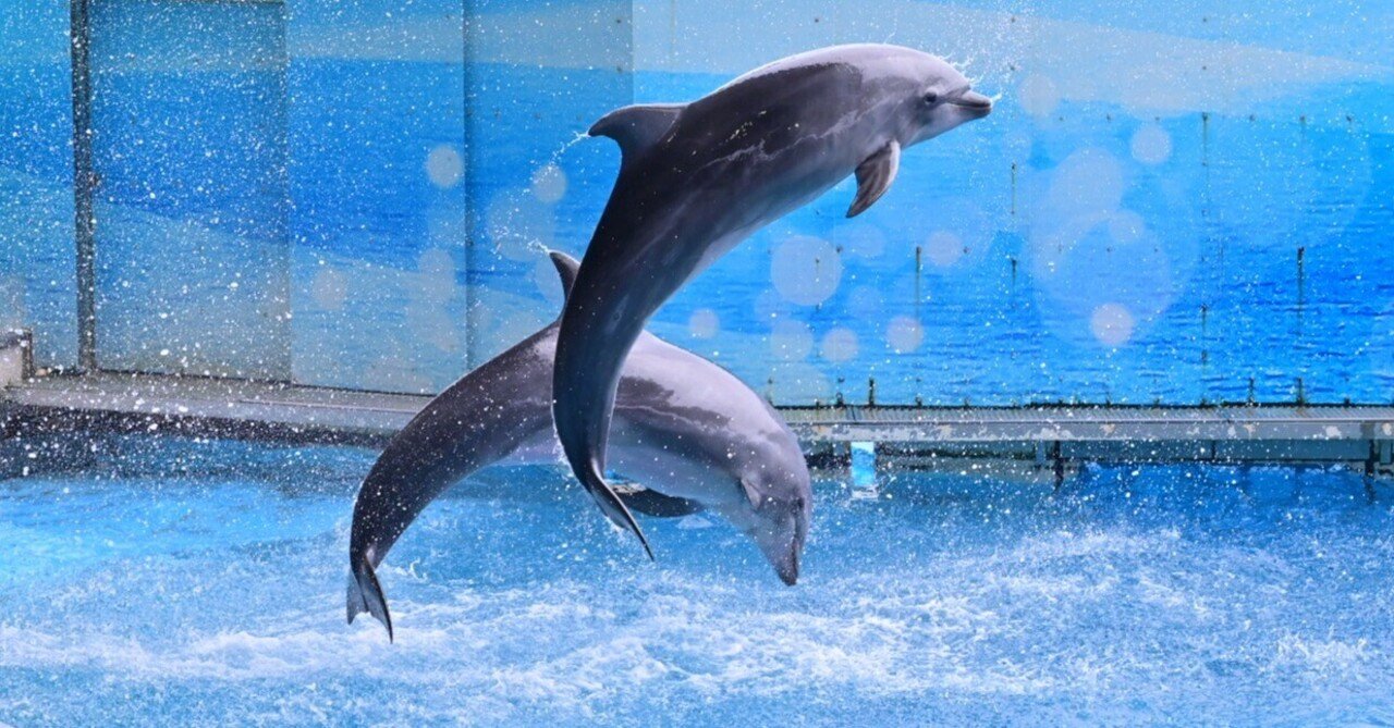 えのすい”を楽しむ／2025年7月｜mitsuki sora