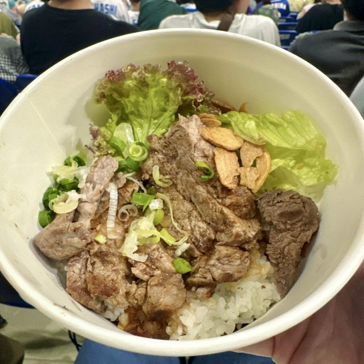 中日ドラゴンズ　どんぶり 中日ドラゴンズ どんぶり