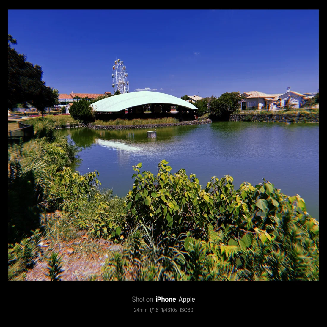ソレイユの丘 / Soleil Hills(Kanagawa, Japan)｜N.Hagimoto